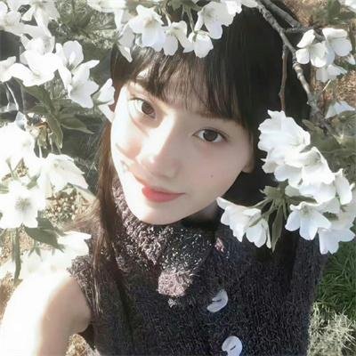 战地姻缘封面